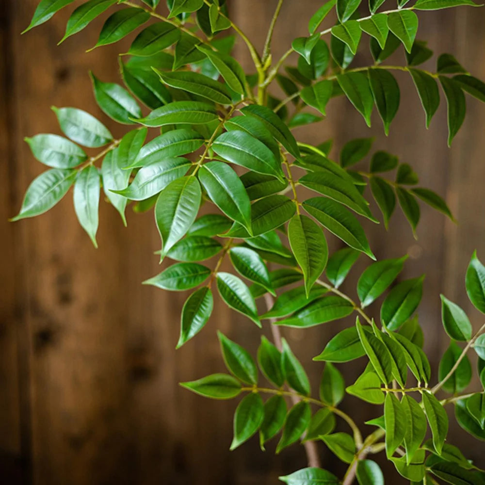 Ficus Banyan artificiel dans un salon naturel
