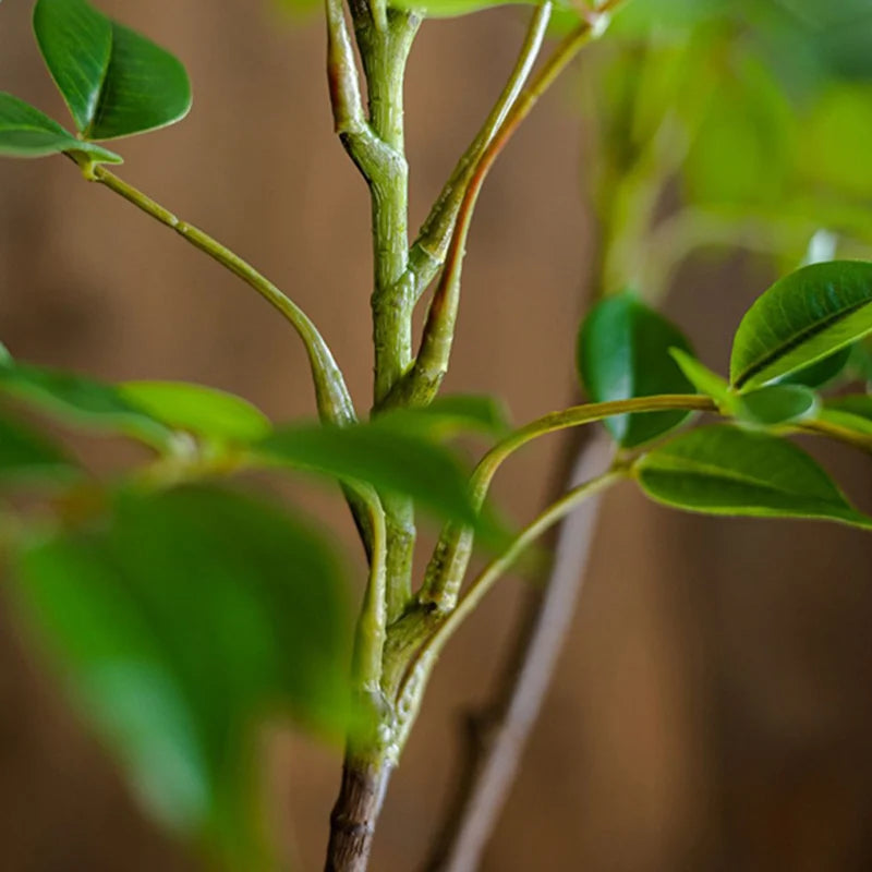 Ficus Banyan artificiel petit modèle