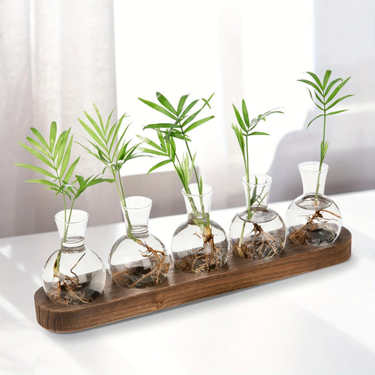 Vase de bouturage en verre soufflé sur socle en bois naturel – HAVLY