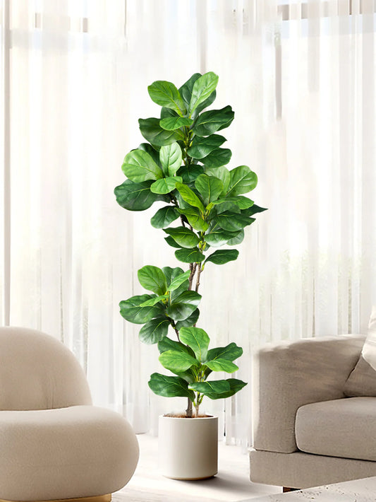 Ficus lyrata artificiel à grandes feuilles de violon – HAVLY