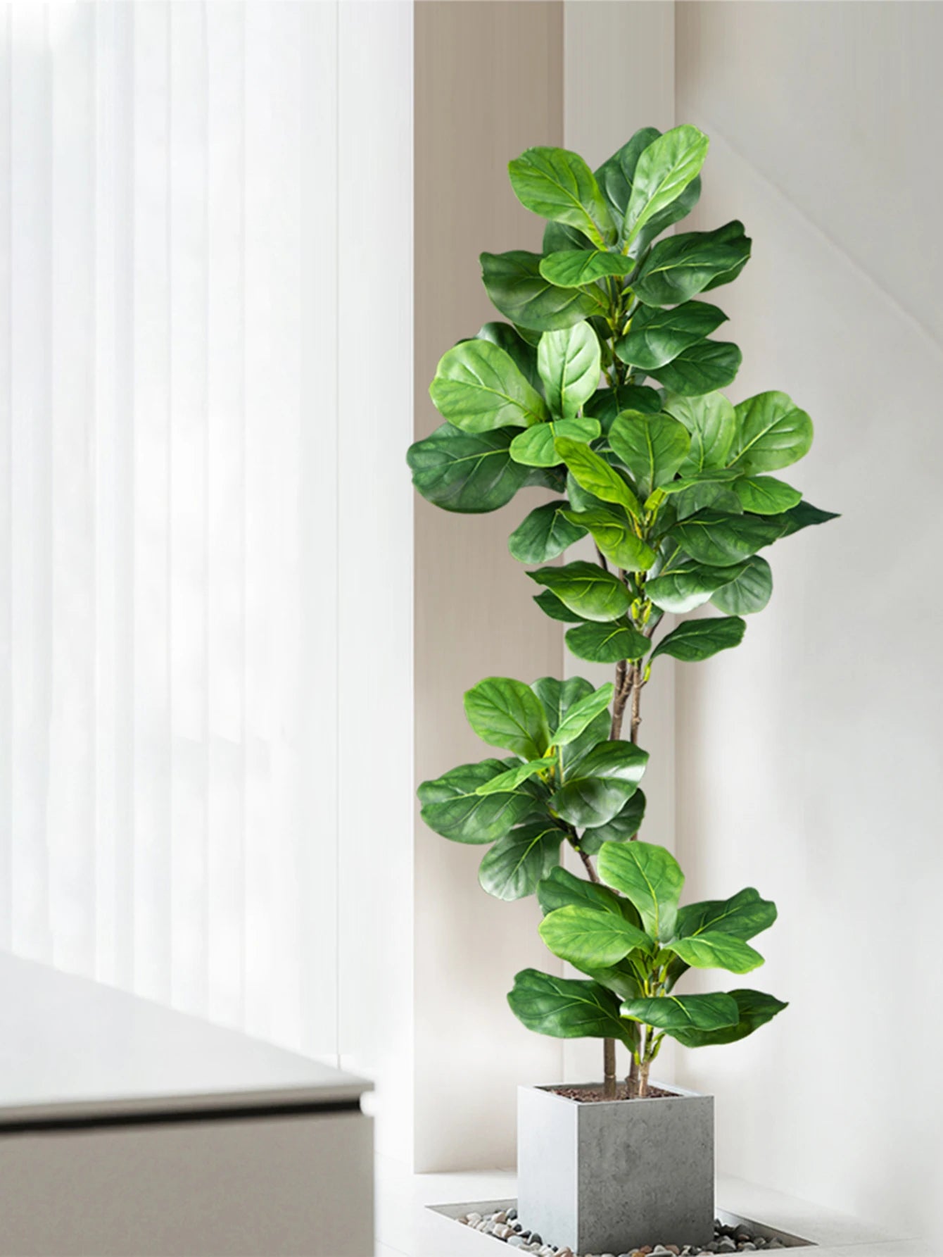 Ficus lyrata artificiel, vue de profil