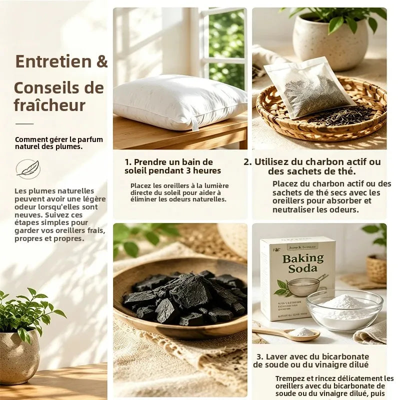 Oreiller duvet d'oie grand format