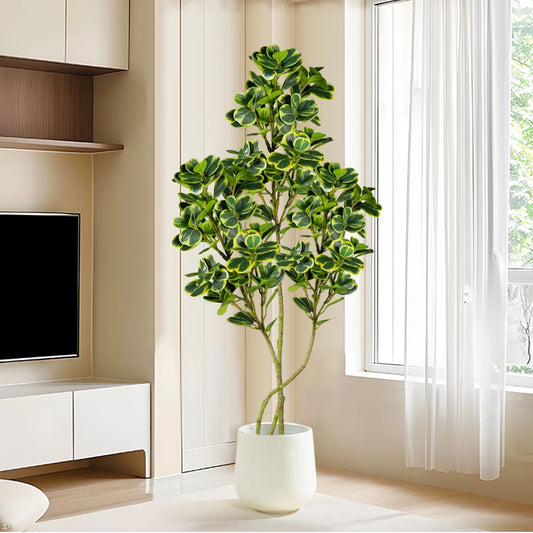Ficus artificiel aux feuilles de cœur vertes – HAVLY