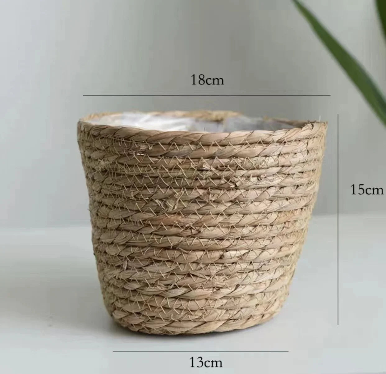 Panier osier naturel avec plante verte